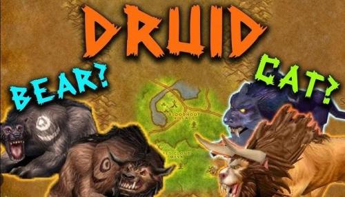 More information about "Feral Druid PVP with Bear form health recovery"